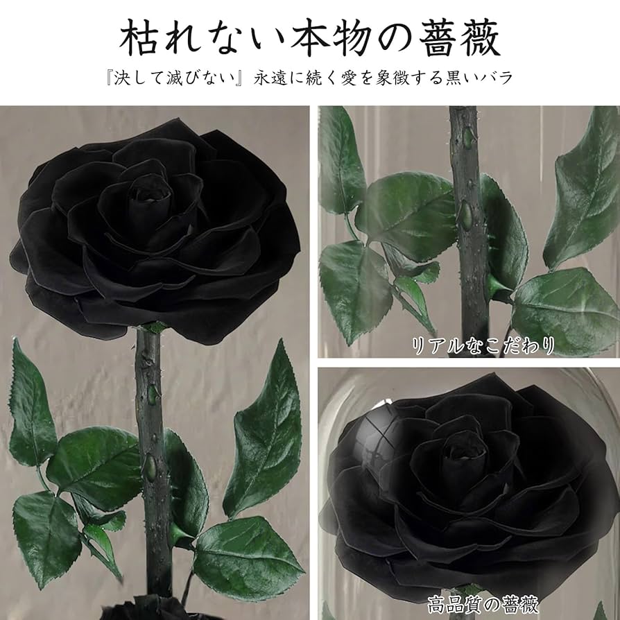 22本黒バラブーケ　枯れない薔薇 プレゼント お祝い　好きな人へ 6本黄色・黒バラブーケ プレゼント お祝い 枯れない花 永生薔薇